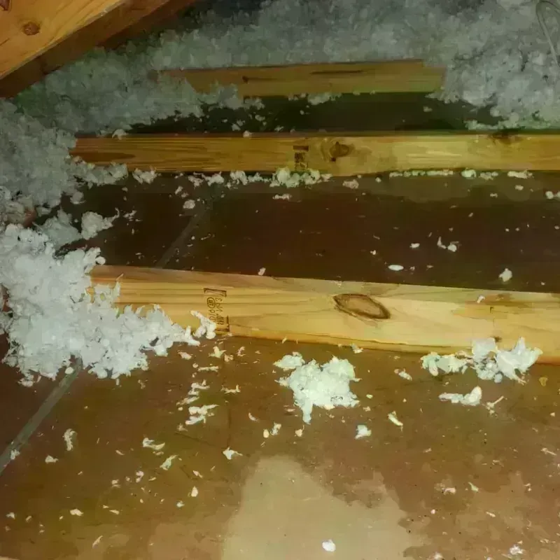 Attic Water Damage in West Covina, CA