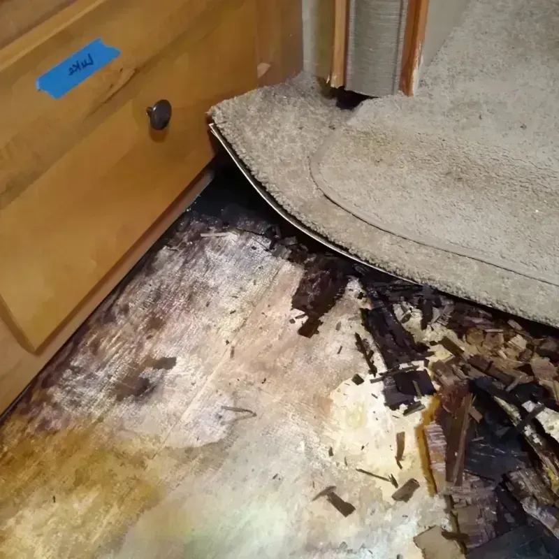 Wood Floor Water Damage in West Covina, CA